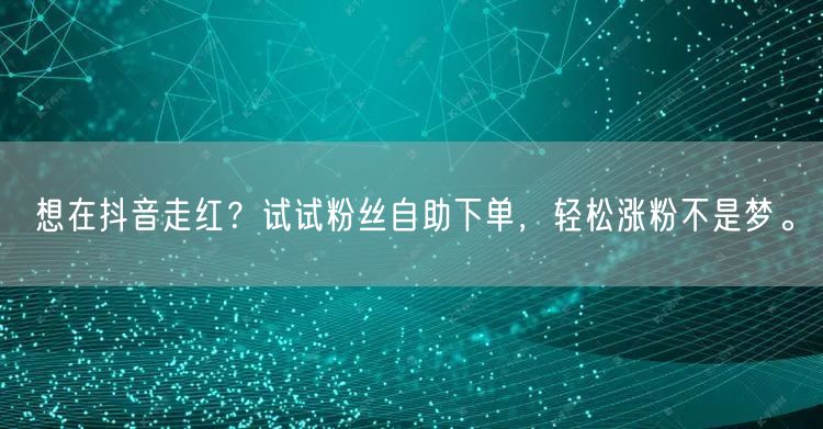 想在抖音走红？试试粉丝自助下单，轻松涨粉不是梦。