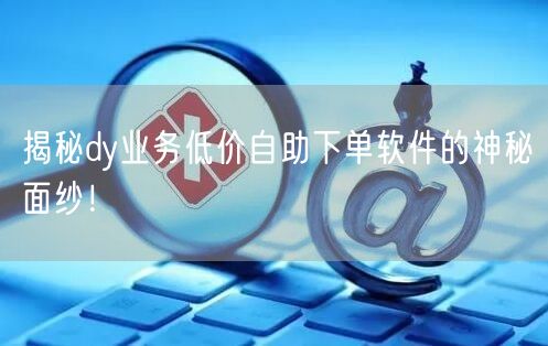 揭秘dy业务低价自助下单软件的神秘面纱！