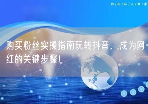 购买粉丝实操指南玩转抖音，成为网红的关键步骤！