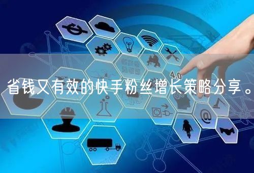 省钱又有效的快手粉丝增长策略分享。