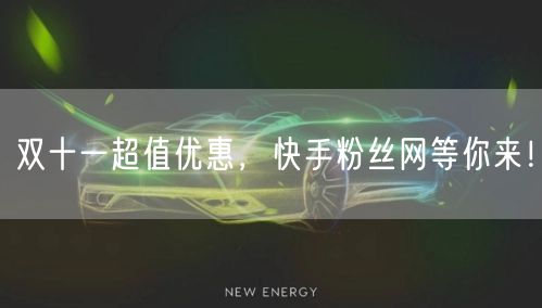 双十一超值优惠，快手粉丝网等你来！
