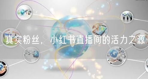 真实粉丝，小红书直播间的活力之源