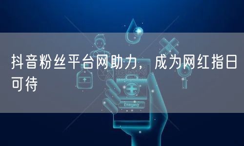 抖音粉丝平台网助力，成为网红指日可待